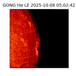 gong - 2025-10-08T05:02:42