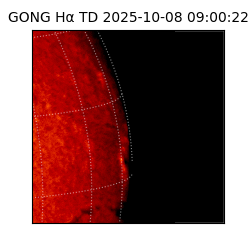 gong - 2025-10-08T09:00:22