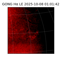 gong - 2025-10-08T01:01:42