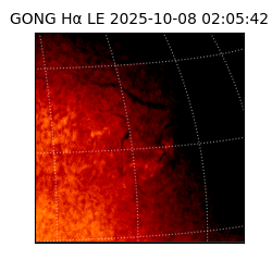 gong - 2025-10-08T02:05:42