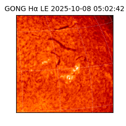 gong - 2025-10-08T05:02:42