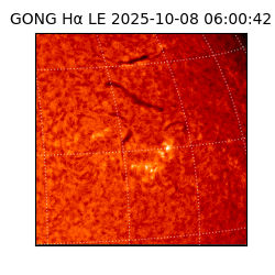 gong - 2025-10-08T06:00:42