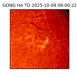 gong - 2025-10-08T08:00:22