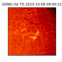 gong - 2025-10-08T09:00:22