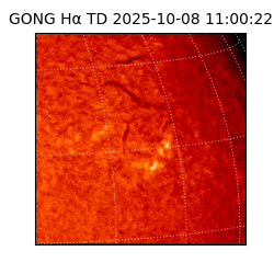 gong - 2025-10-08T11:00:22