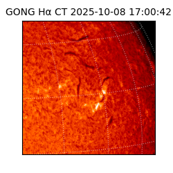 gong - 2025-10-08T17:00:42