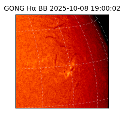 gong - 2025-10-08T19:00:02