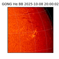 gong - 2025-10-08T20:00:02