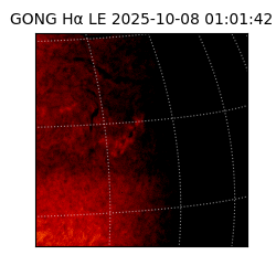 gong - 2025-10-08T01:01:42