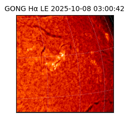 gong - 2025-10-08T03:00:42