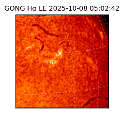gong - 2025-10-08T05:02:42