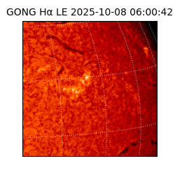gong - 2025-10-08T06:00:42