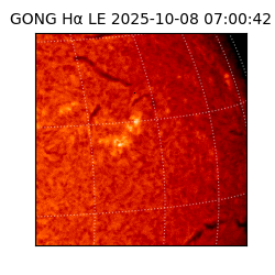 gong - 2025-10-08T07:00:42
