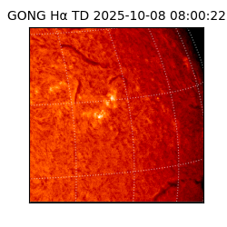 gong - 2025-10-08T08:00:22