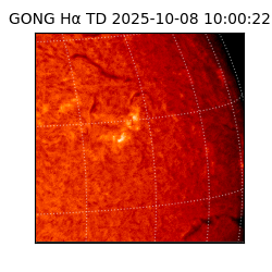gong - 2025-10-08T10:00:22