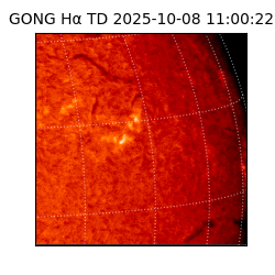gong - 2025-10-08T11:00:22