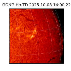gong - 2025-10-08T14:00:22