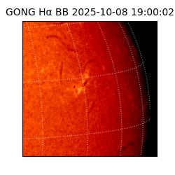 gong - 2025-10-08T19:00:02