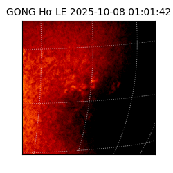 gong - 2025-10-08T01:01:42