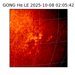 gong - 2025-10-08T02:05:42