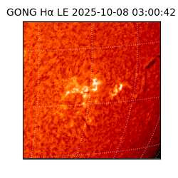 gong - 2025-10-08T03:00:42