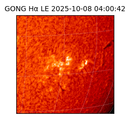 gong - 2025-10-08T04:00:42