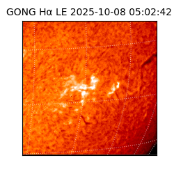 gong - 2025-10-08T05:02:42