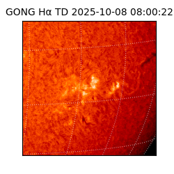 gong - 2025-10-08T08:00:22