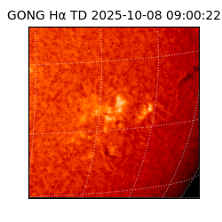 gong - 2025-10-08T09:00:22