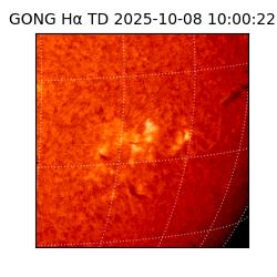 gong - 2025-10-08T10:00:22