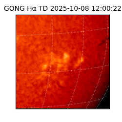 gong - 2025-10-08T12:00:22