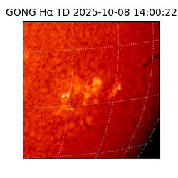 gong - 2025-10-08T14:00:22