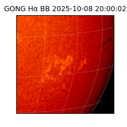 gong - 2025-10-08T20:00:02