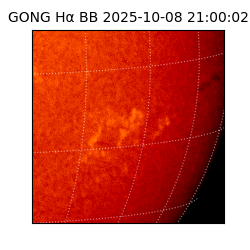 gong - 2025-10-08T21:00:02
