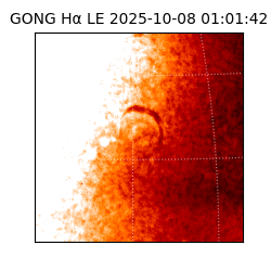 gong - 2025-10-08T01:01:42