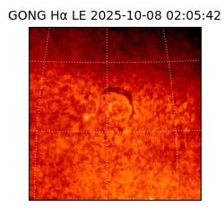 gong - 2025-10-08T02:05:42
