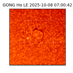 gong - 2025-10-08T07:00:42