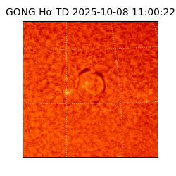 gong - 2025-10-08T11:00:22