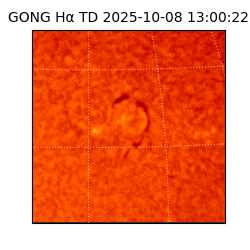 gong - 2025-10-08T13:00:22