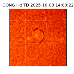 gong - 2025-10-08T14:00:22