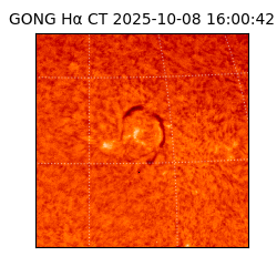 gong - 2025-10-08T16:00:42