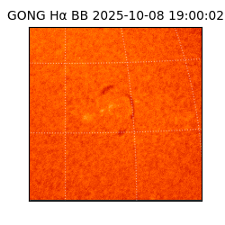 gong - 2025-10-08T19:00:02