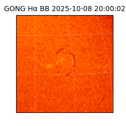 gong - 2025-10-08T20:00:02
