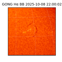 gong - 2025-10-08T22:00:02