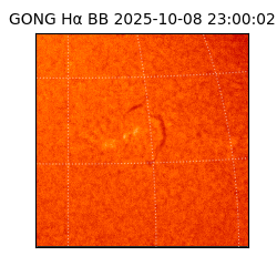 gong - 2025-10-08T23:00:02