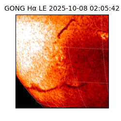 gong - 2025-10-08T02:05:42