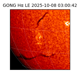 gong - 2025-10-08T03:00:42