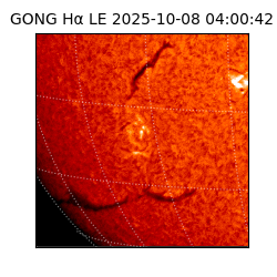 gong - 2025-10-08T04:00:42