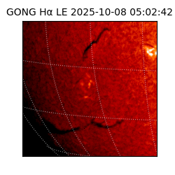 gong - 2025-10-08T05:02:42
