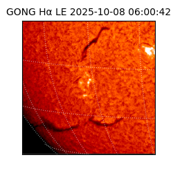 gong - 2025-10-08T06:00:42